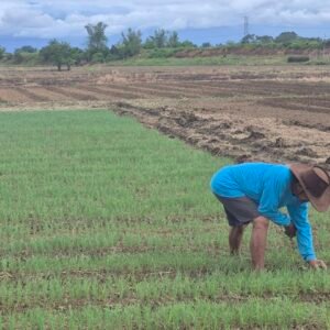 Gift-a-Tech to Farmer